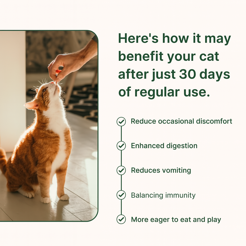 PurrBiotics+ - Probiotic Cat Supplement