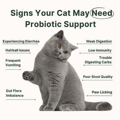 PurrBiotics+ - Probiotic Cat Supplement